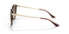 710/13 - Tortoise - Brown Gradient Dark Brown