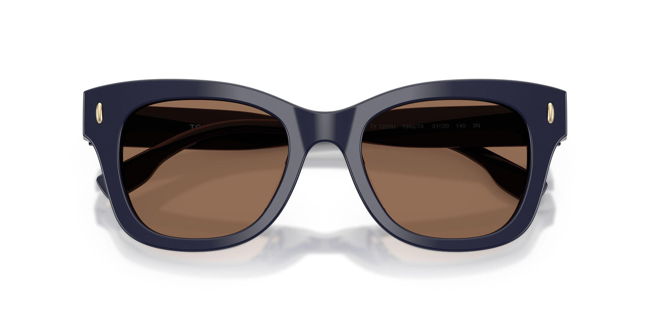 199373 - Blue - Solid Brown
