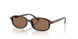 152/73 - Tortoise - Dark Brown