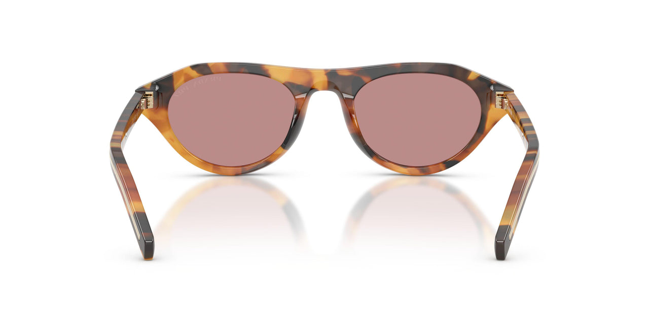 29C05Z - Tortoise - Dark Pink Polar
