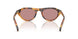 29C05Z - Tortoise - Dark Pink Polar