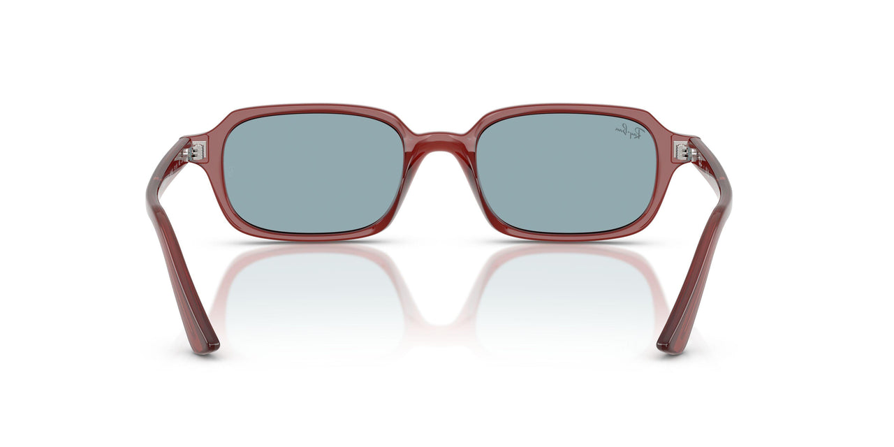 680980 - Brown - Blue
