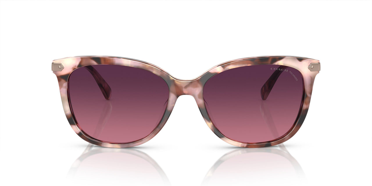 5528F4 - Pink - Burgundy Gradient Polar