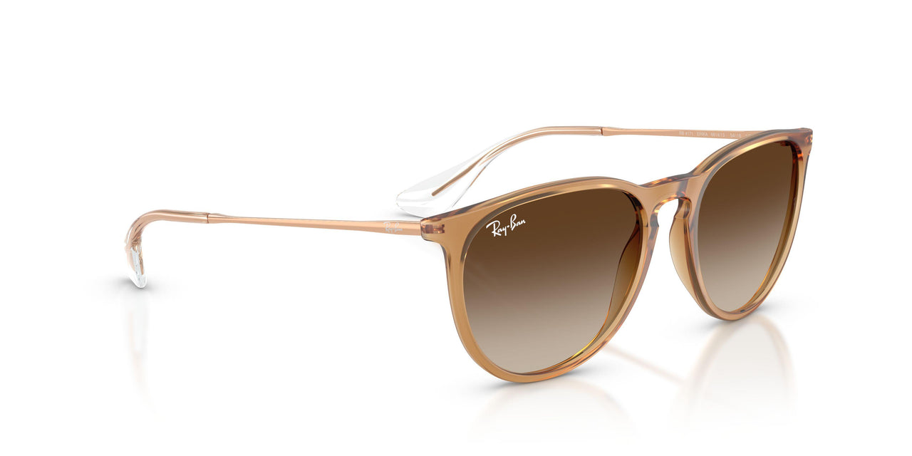 681413 - Brown - Gradient Brown