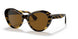100383 - Black - Brown Polarized