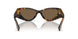 VAU06B - Beige - Dark Brown