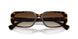 500313 - Brown - Gradient Brown