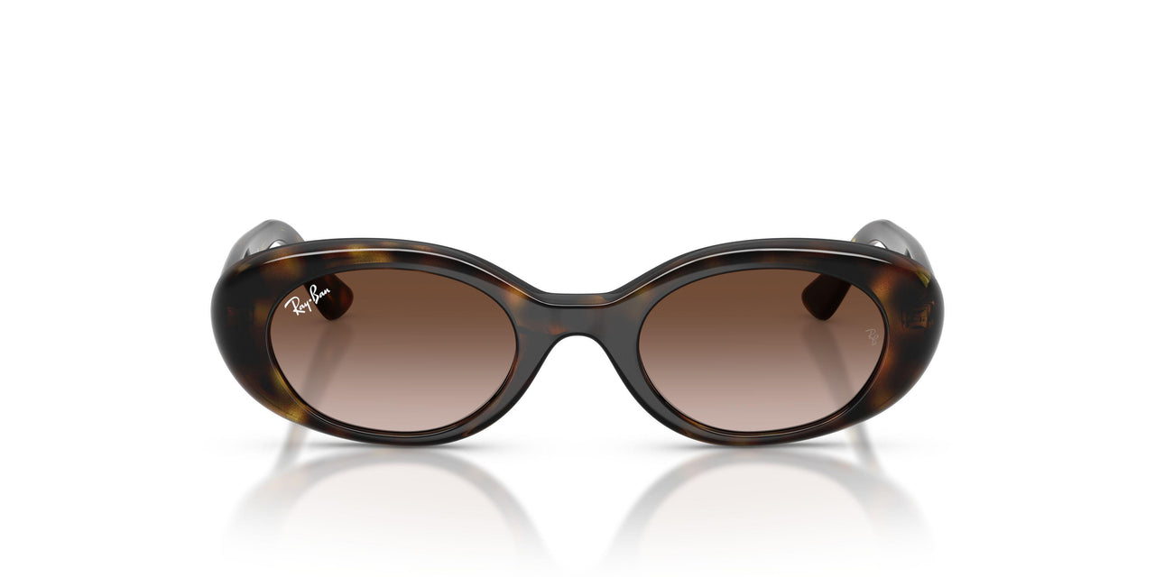 152/13 - Tortoise - Gradient Brown