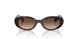 152/13 - Tortoise - Gradient Brown