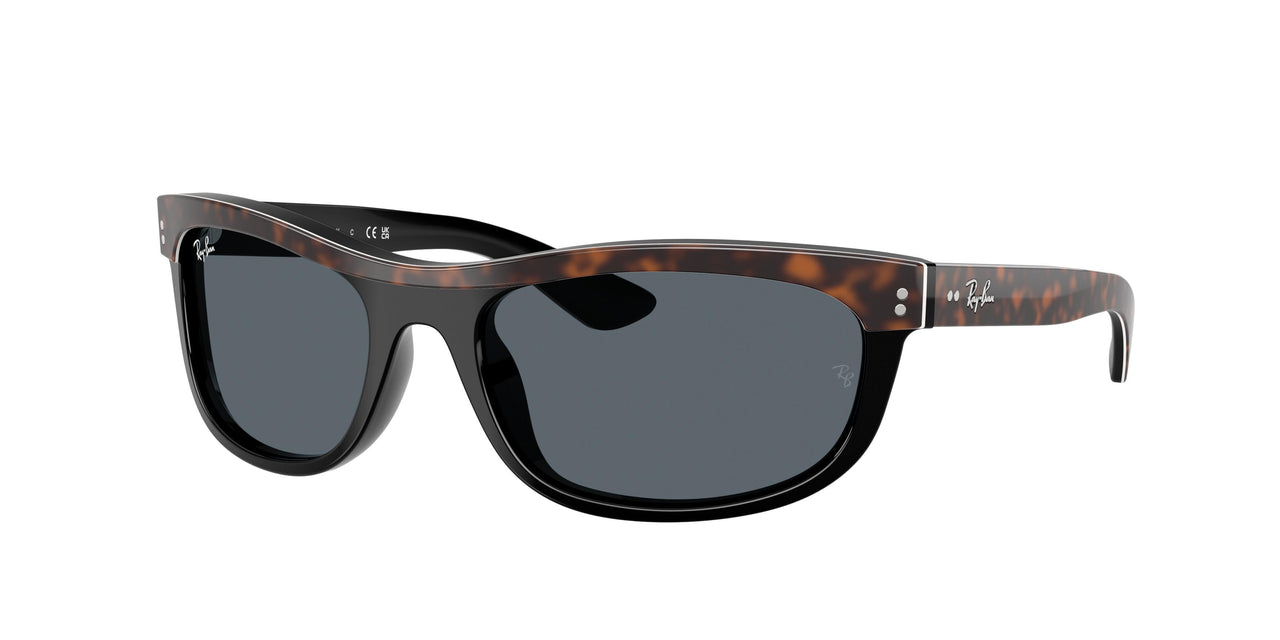 1441R5 - Brown - Blue