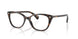5003 - Tortoise