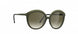 5540 - Olive Green - Olive Green Gradient