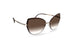 Silhouette Ribera 8188 Sunglasses