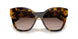 VAU6S1 - Havana - Brown Gradient