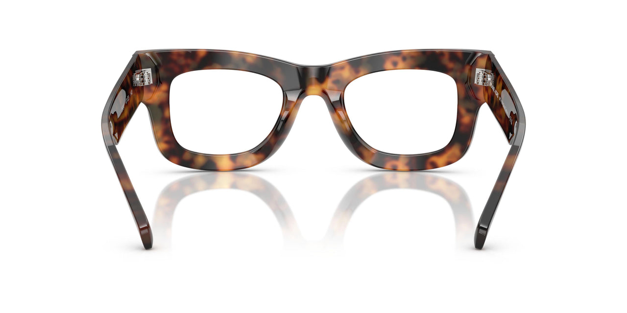 3904 - Tortoise