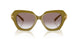 201013 - Green - Light Brown Gradient Brown