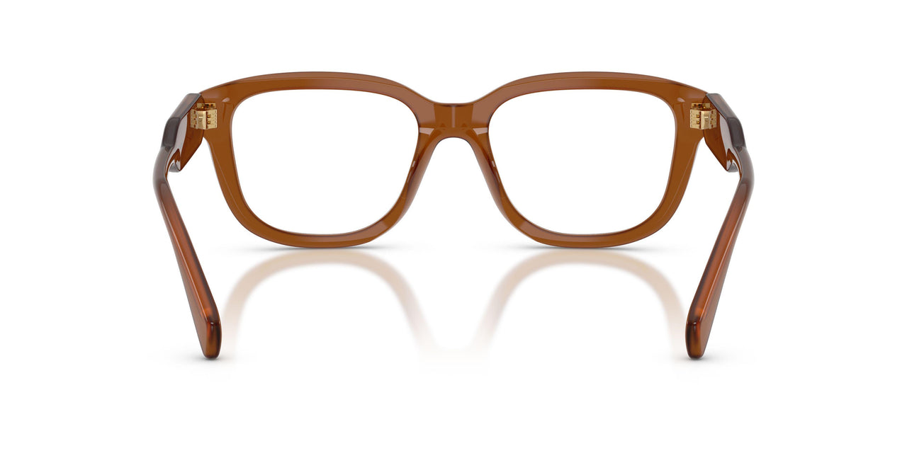 22I1O1 - Brown