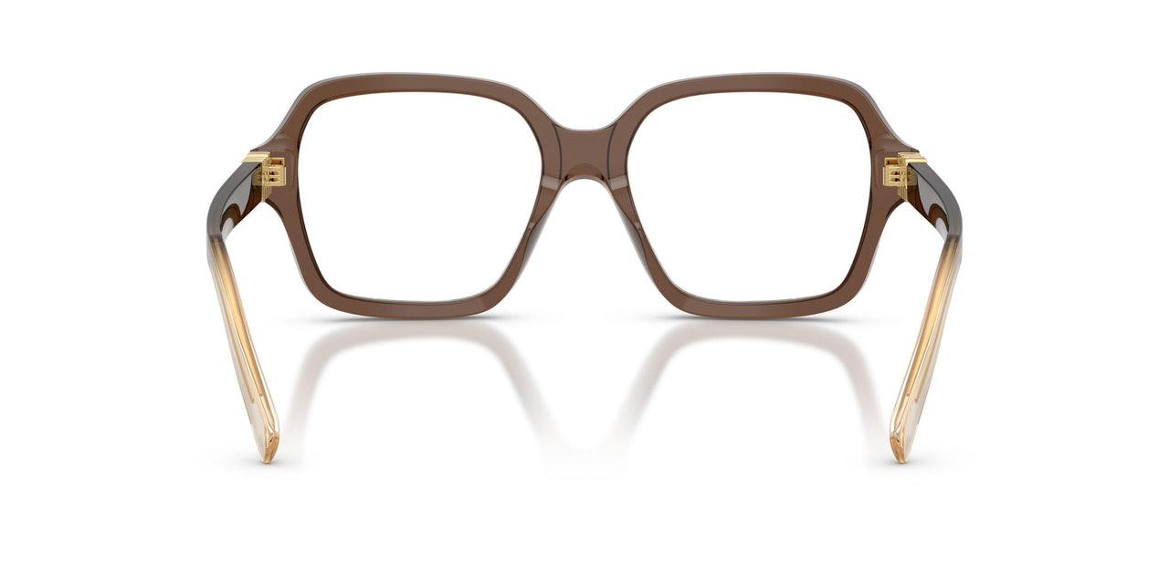23H1O1 - Brown