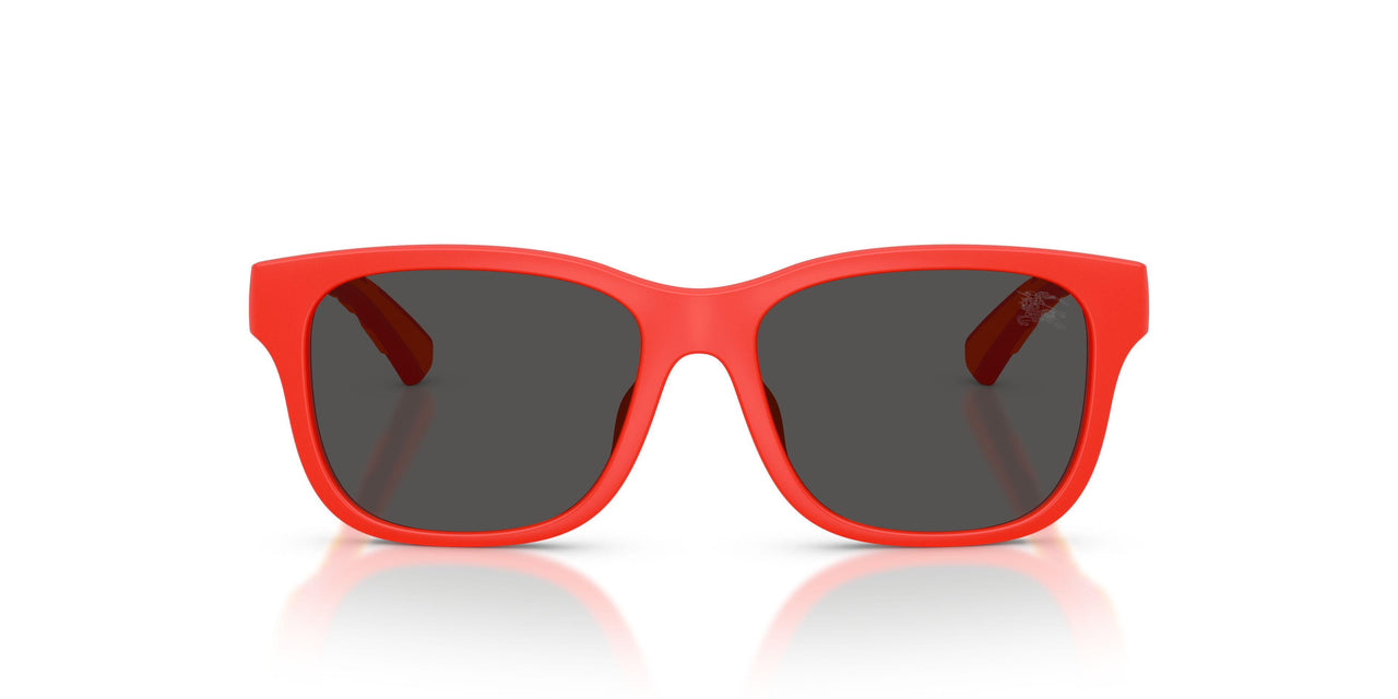 423887 - Red - Dark Grey