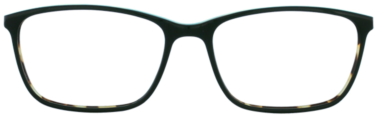 550 - Tort/lt. Blue