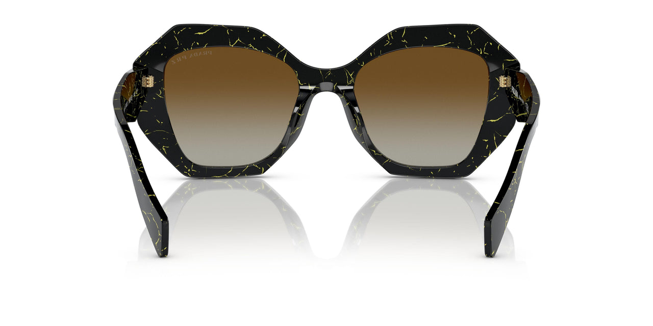 19D6E1 - Black - Polar Brown Gradient
