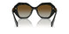 19D6E1 - Black - Polar Brown Gradient