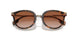 300213 - Brown - Brown Gradient