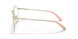 1469 - Pink - Clear