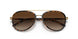330413 - Havana - Brown Gradient