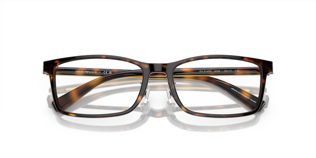 5026 - Tortoise