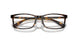 5026 - Tortoise