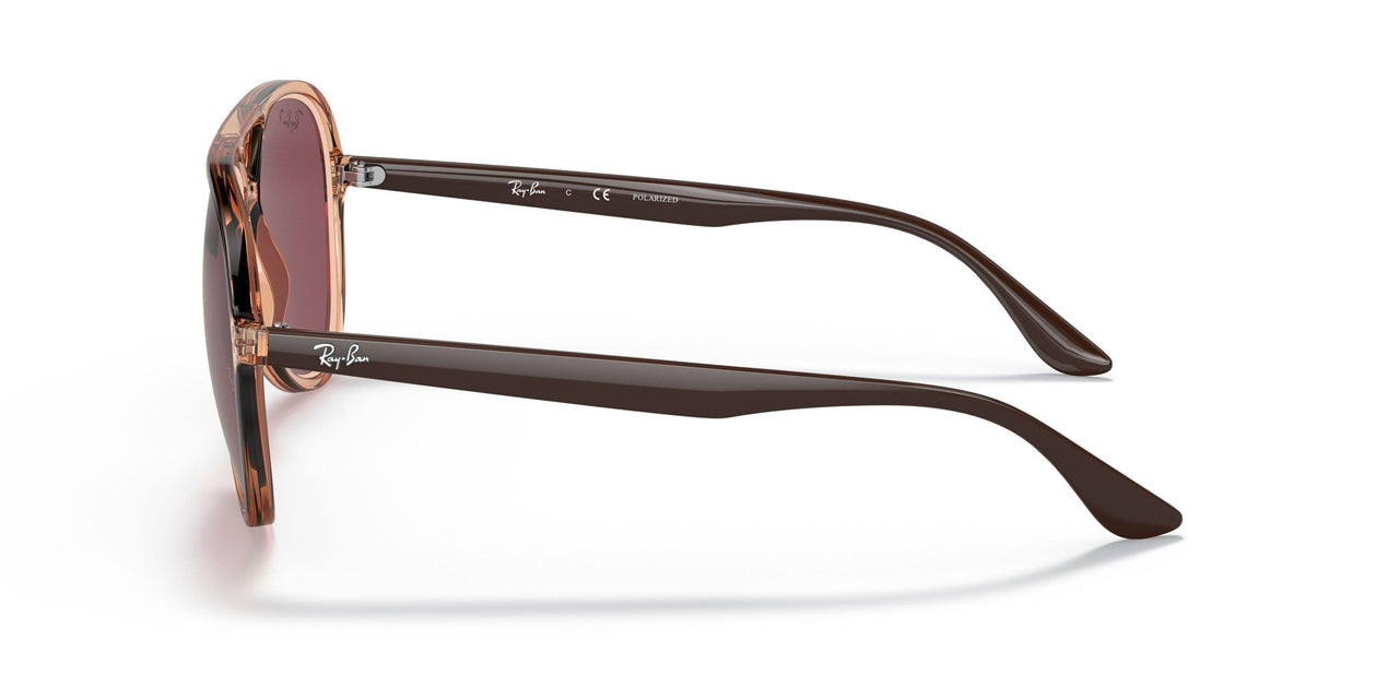 66025Q - Brown - Purple Polar