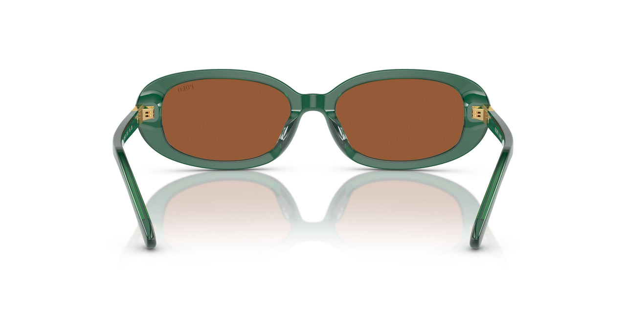 619573 - Green - Brown
