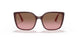 287314 - Purple/reddish - Pink Gradient Brown