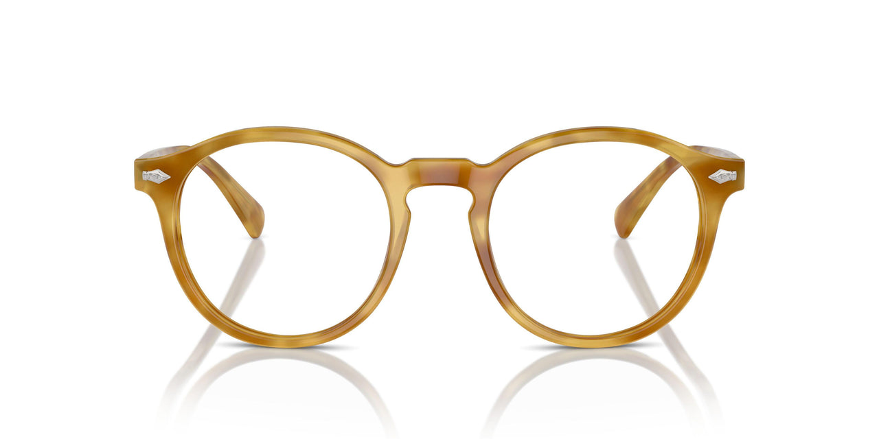 618573 - Tortoise - Brown