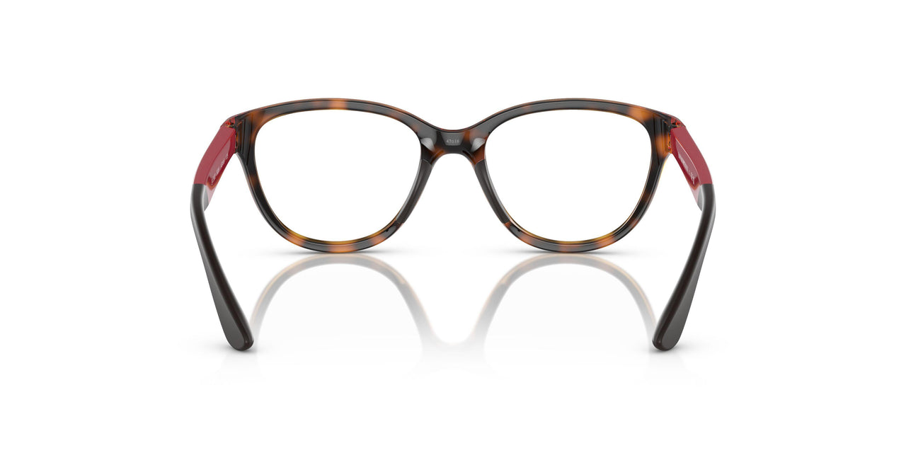 5026 - Tortoise