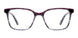 0OQ5-00 - PLUM LILC
