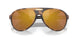 911711 - Tortoise - Gold Mirror