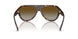 5002T5 - Tortoise - Polar Gradient Brown