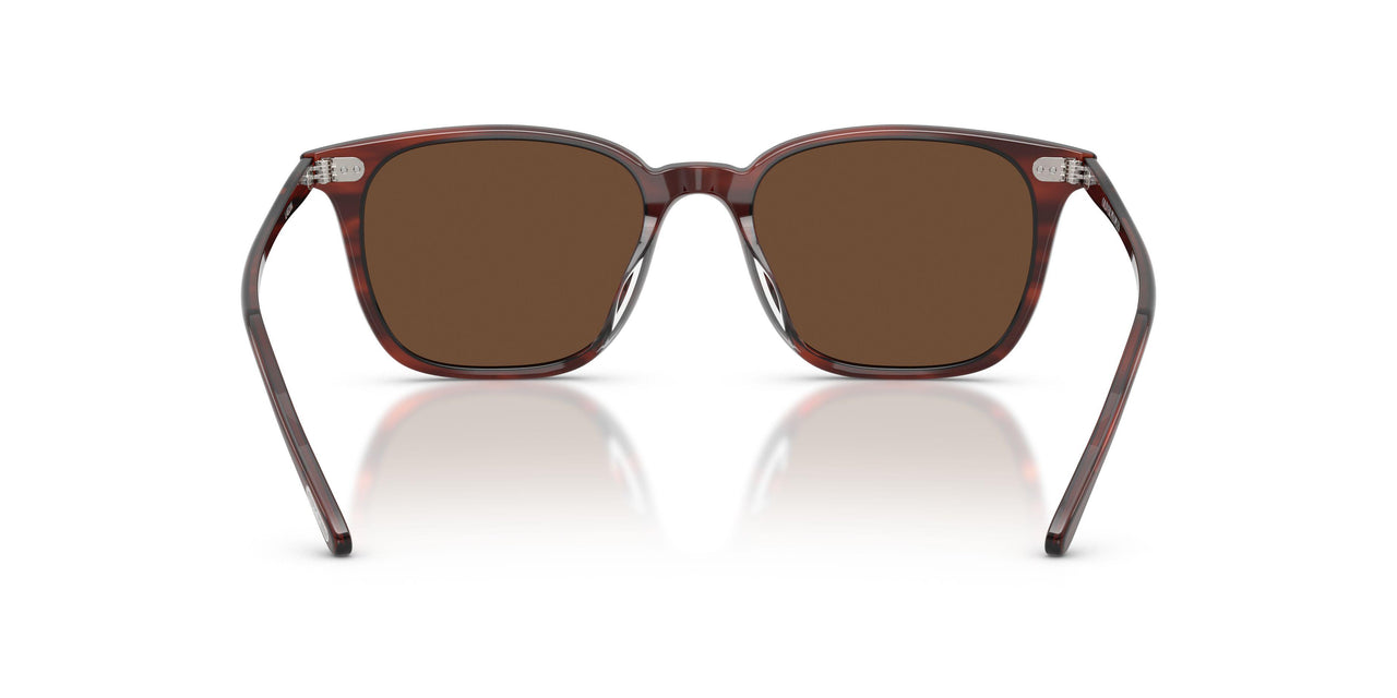 1818AN - Brown - Terra Polarized