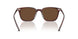 1818AN - Brown - Terra Polarized