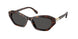 100287 - Tortoise - Dark Grey
