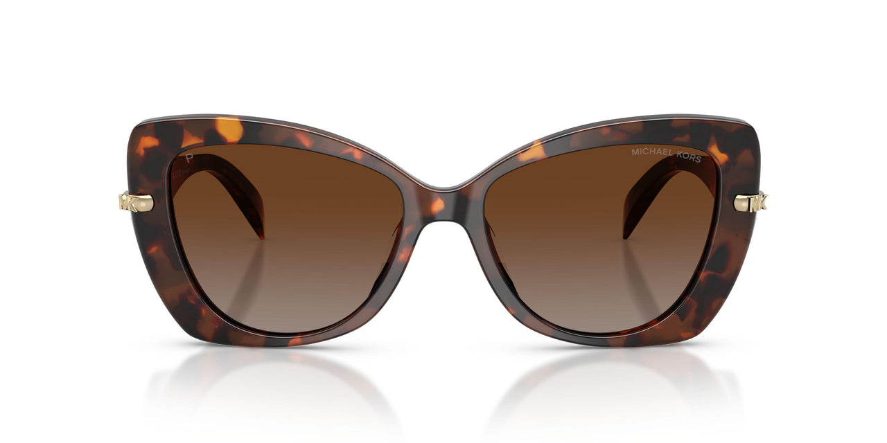 4031T5 - Tortoise - Brown Gradient Polar