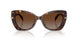 4031T5 - Tortoise - Brown Gradient Polar