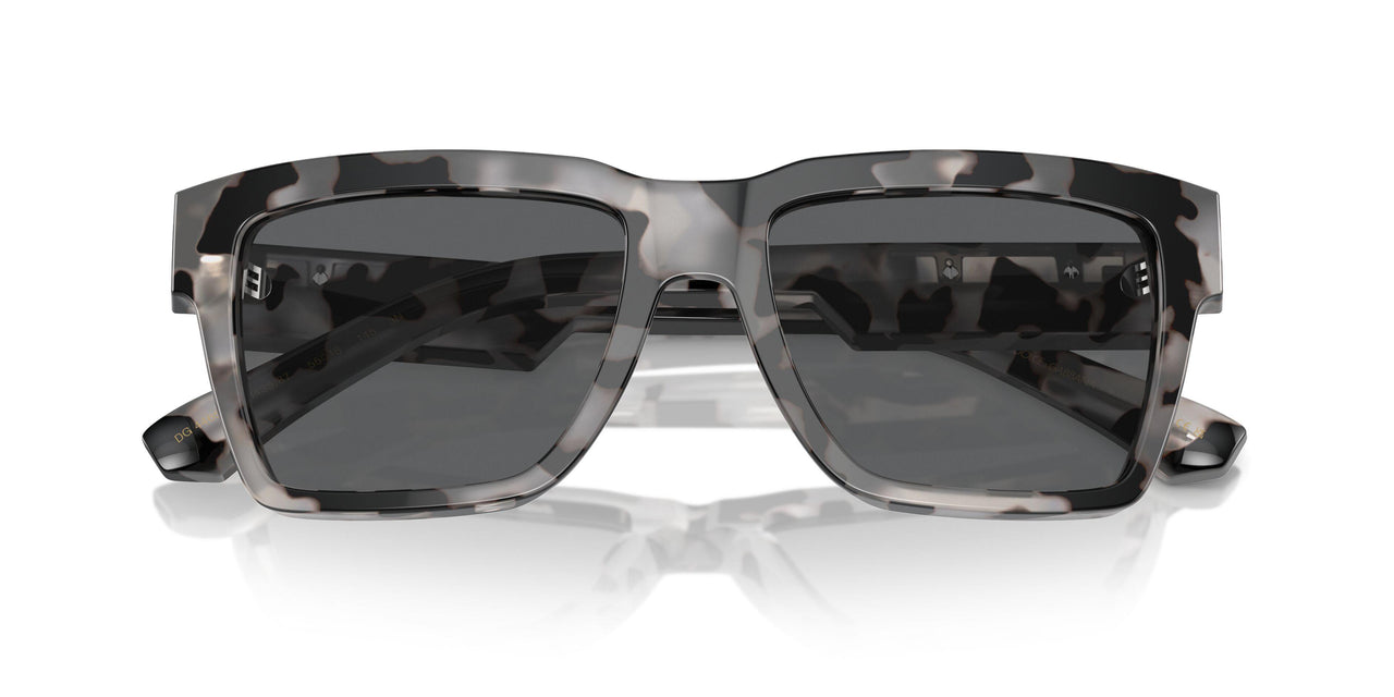 343587 - Tortoise - Dark Grey