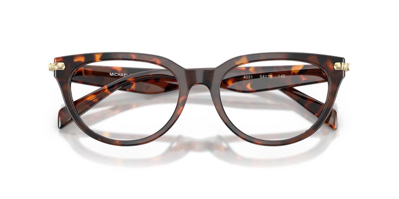 4031 - Tortoise