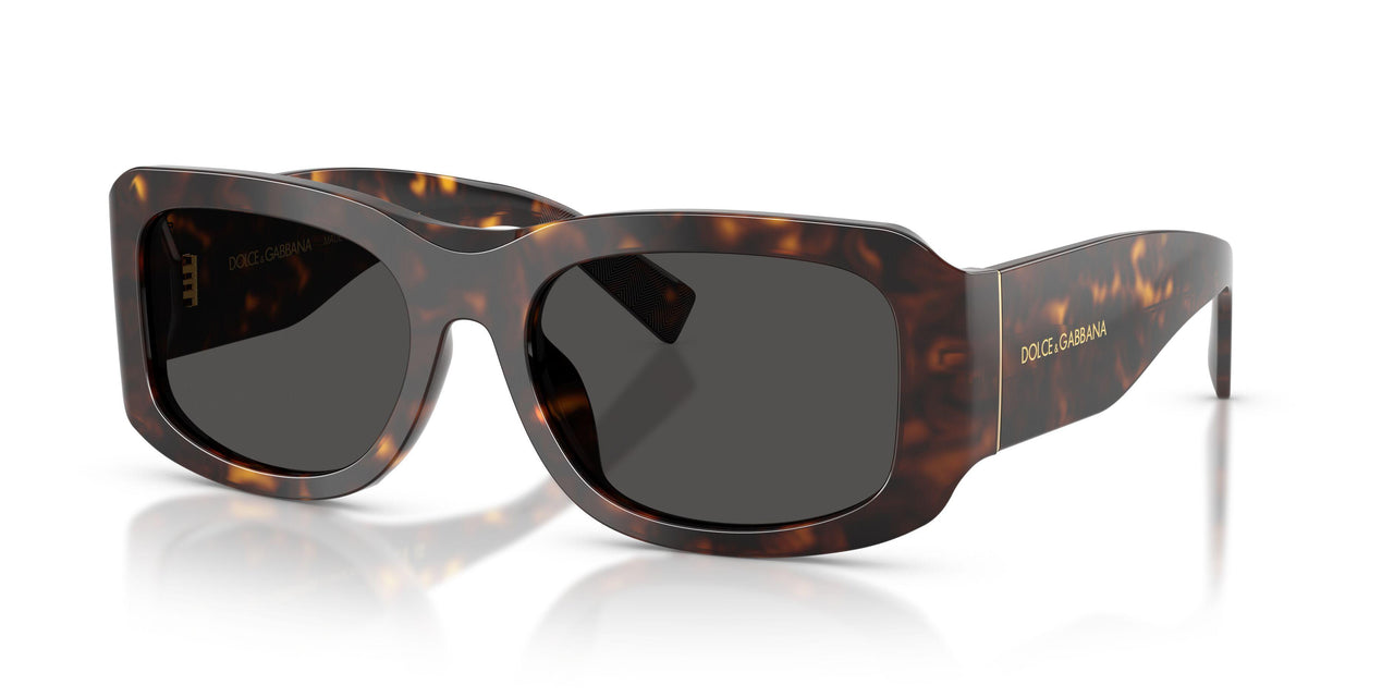 502/87 - Tortoise - Dark Grey