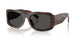 502/87 - Tortoise - Dark Grey