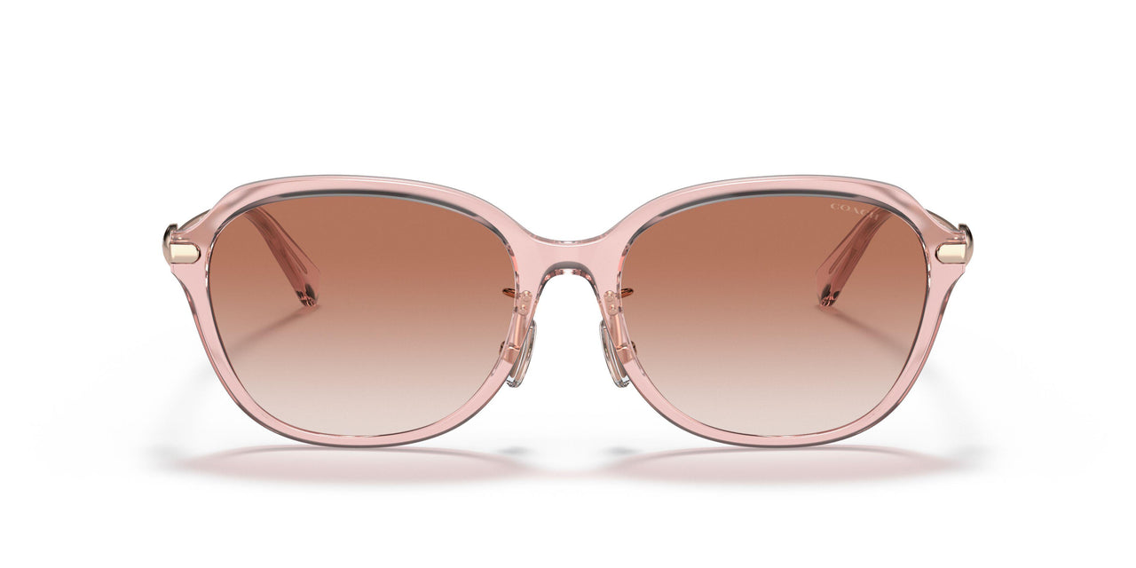 566613 - Pink - Pink Gradient