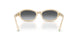 8431T3 - Beige - Polarized Grey Gradient